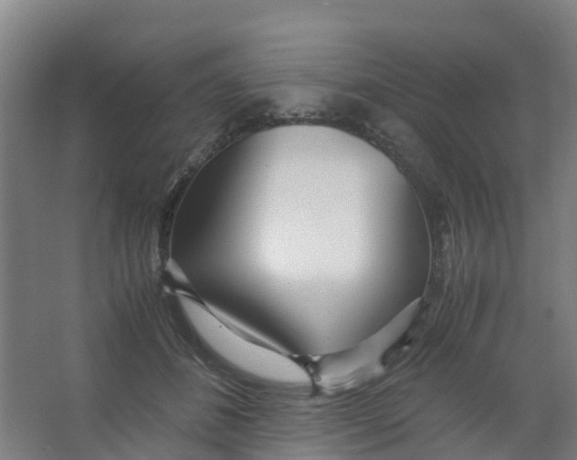 X0000067000508200604142302