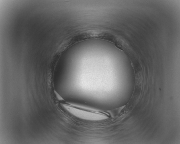 X0000067000509200604142302