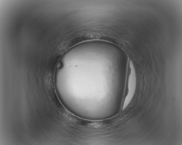 X0000067000511200604142302