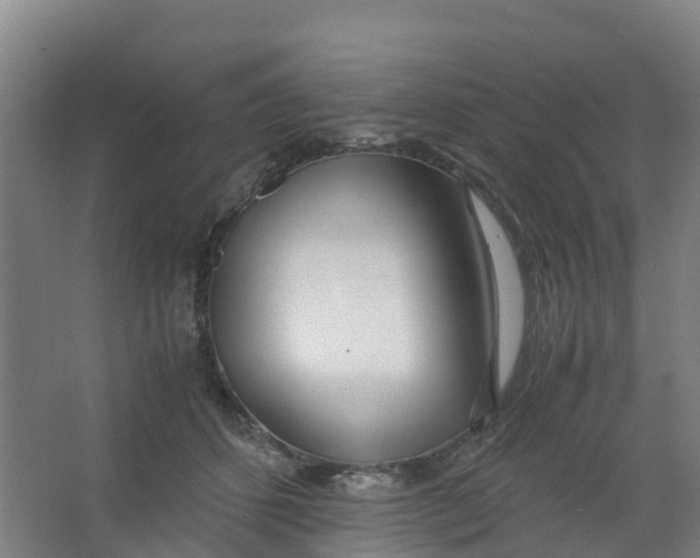 X0000067000512200604142302