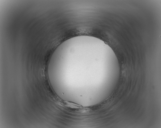 X0000067000514200604142302