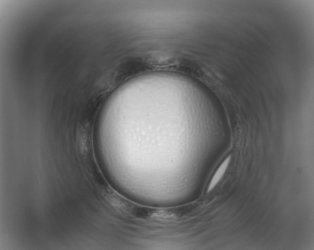 X0000067000515200604142302