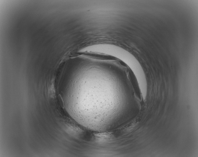 X0000067000516200604142302