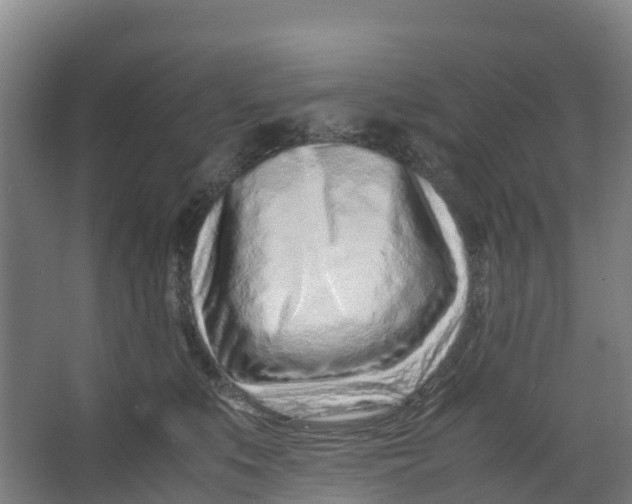 X0000067000519200604142302