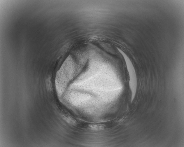 X0000067000520200604142302