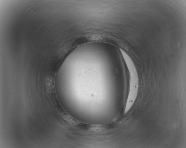 X0000067000521200604142302