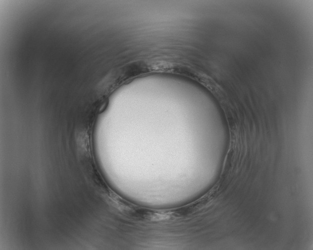 X0000067000523200604142302