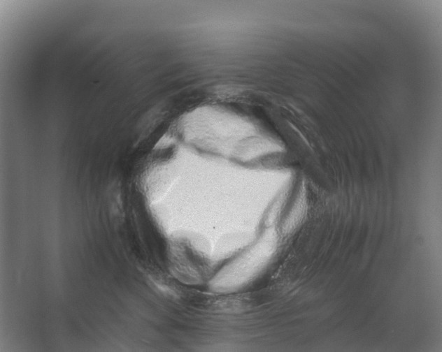 X0000067000524200604142302