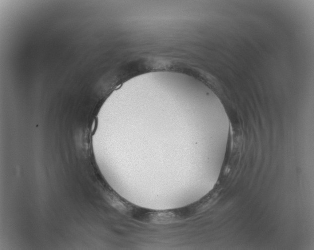 X0000067000525200604142302