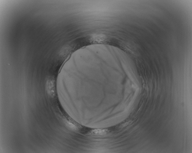 X0000067000526200604142302