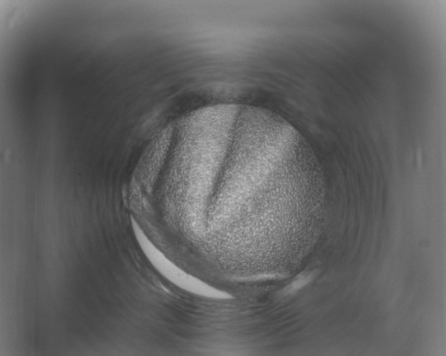 X0000067000528200604142302