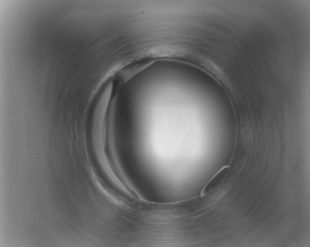 X0000067000530200604142301