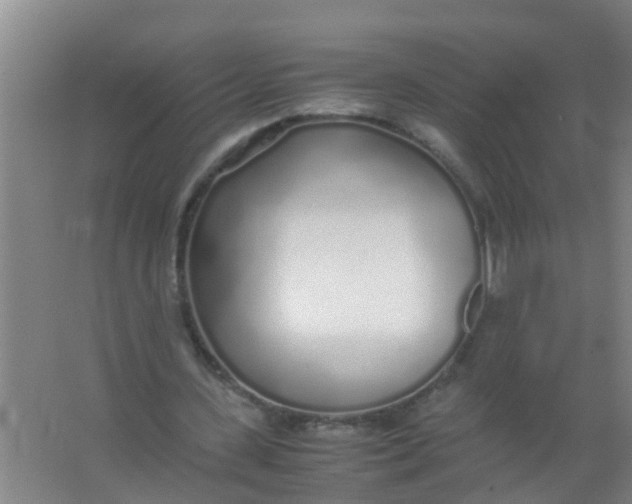 X0000067000531200604142301