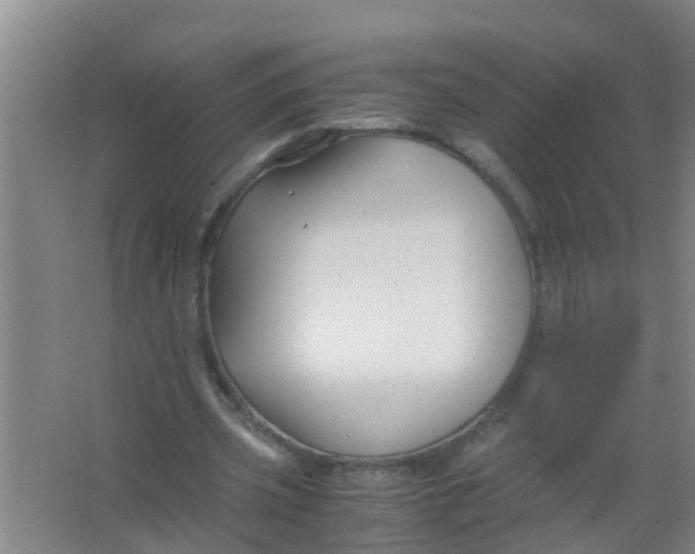 X0000067000533200604142301