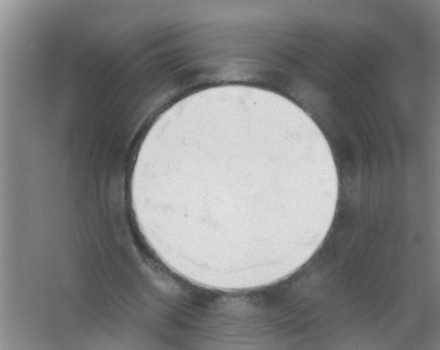 X0000067000534200604142301