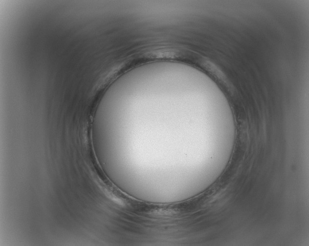 X0000067000537200604142301