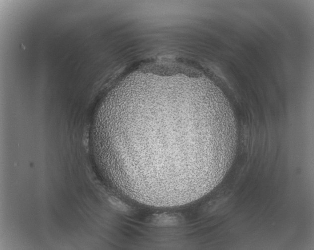 X0000067000545200604142301