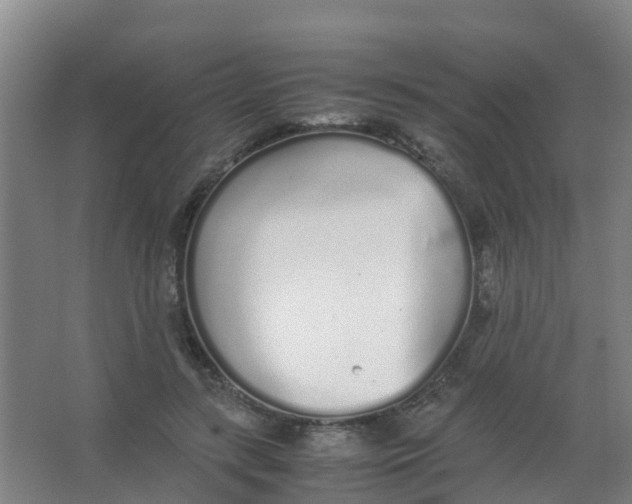 X0000067000547200604142301