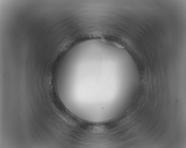 X0000067000548200604142301