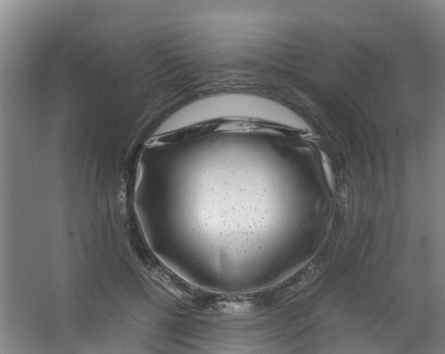 X0000067000552200604142301