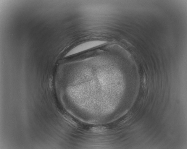 X0000067000556200604142302