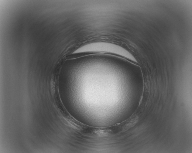 X0000067000558200604142302