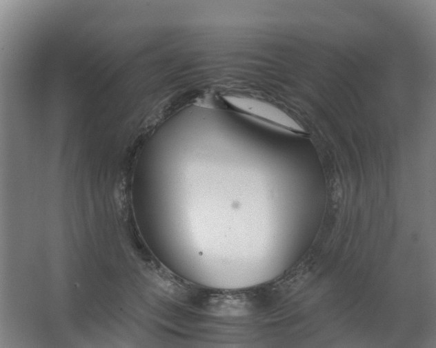 X0000067000559200604142302