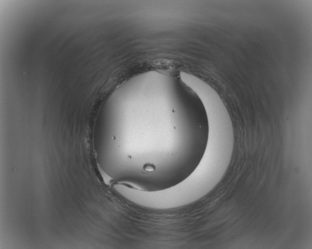 X0000067000561200604142302