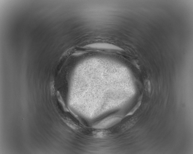 X0000067000564200604142302