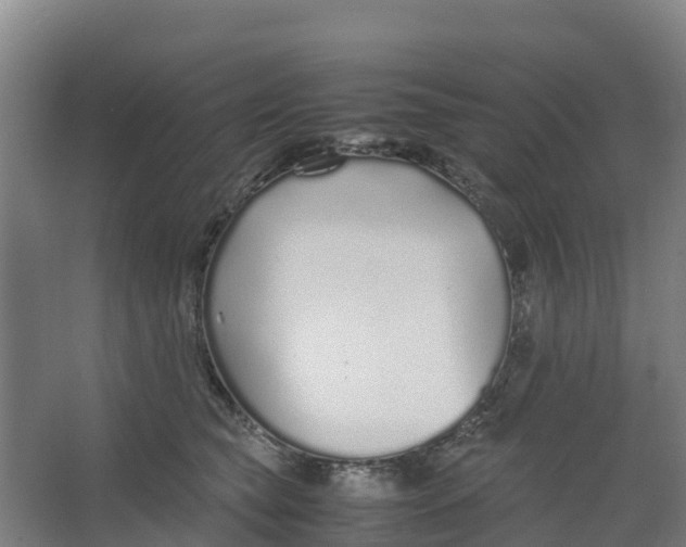 X0000067000565200604142302