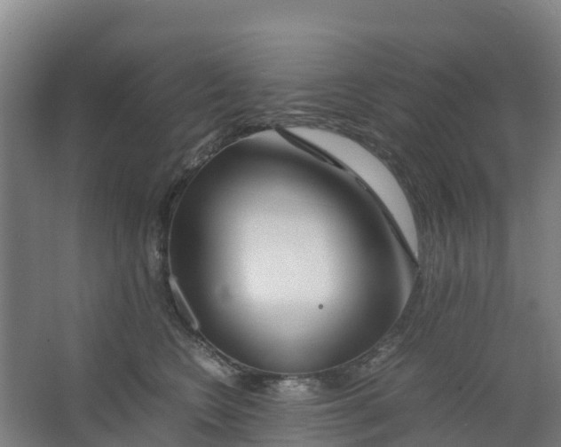 X0000067000566200604142302