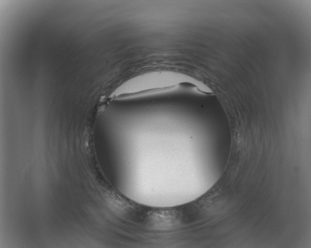 X0000067000567200604142302