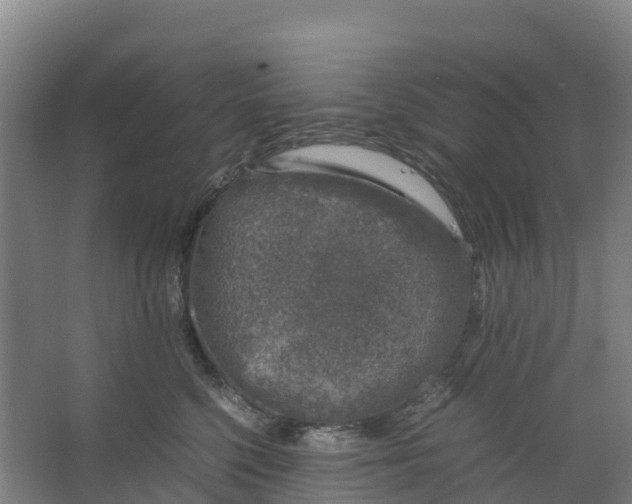 X0000067000568200604142302