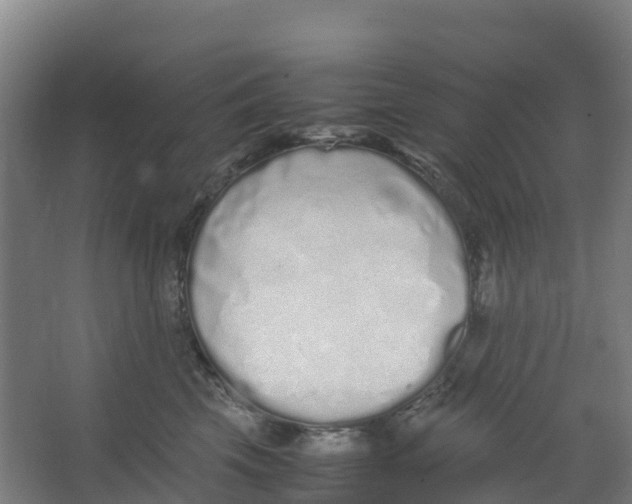 X0000067000569200604142302