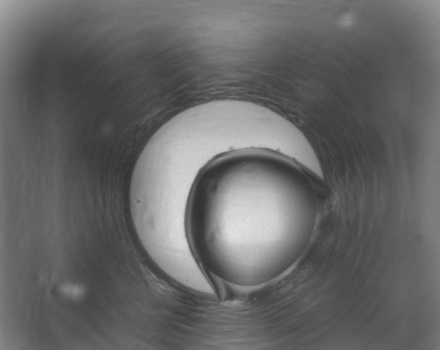 X0000067000570200604142302