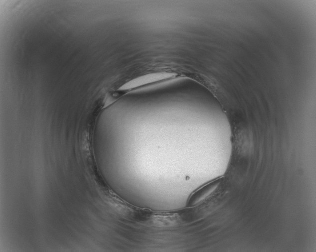 X0000067000571200604142302