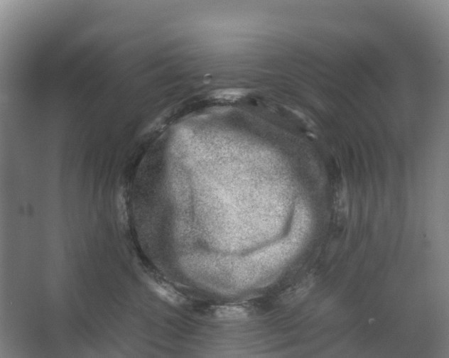 X0000067000572200604142302