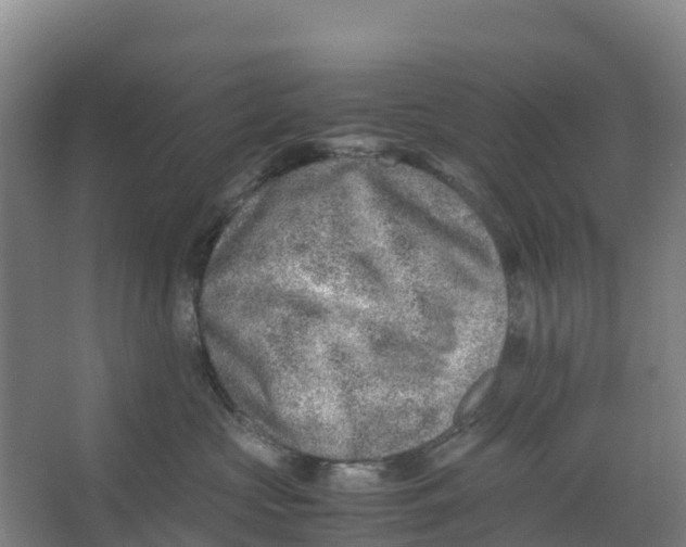 X0000067000573200604142302