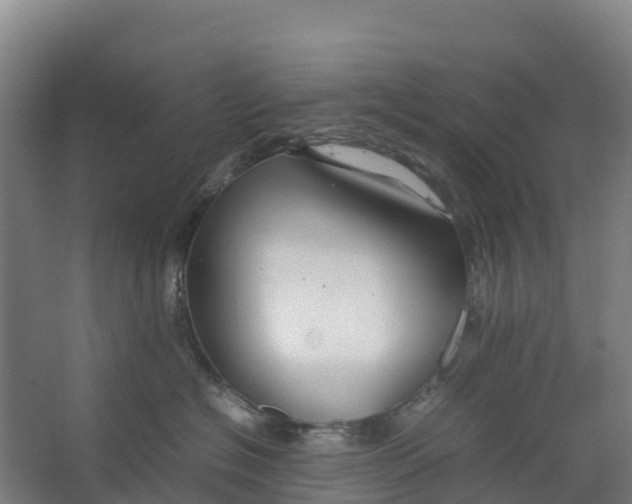 X0000067000574200604142302