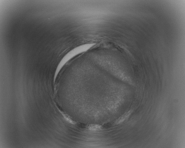 X0000067000576200604142302