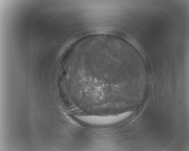 X0000067000577200604142301