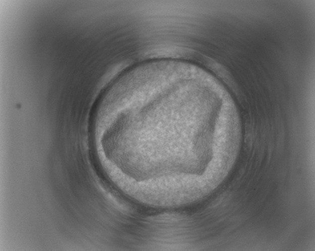 X0000067000578200604142301