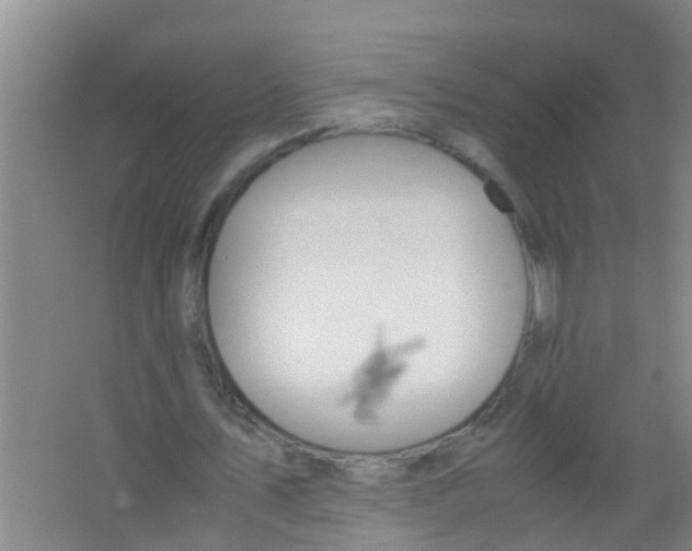 X0000067000579200604142301