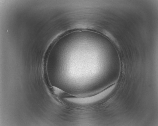 X0000067000580200604142301