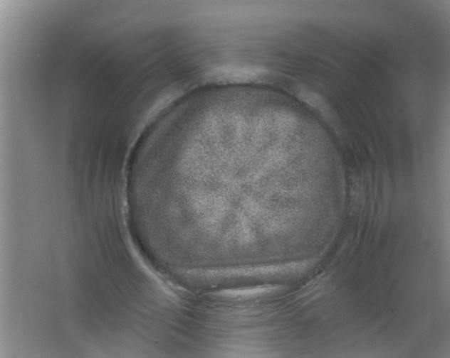 X0000067000582200604142301