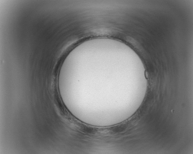 X0000067000583200604142301