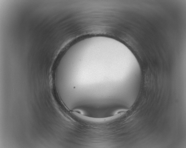 X0000067000584200604142301