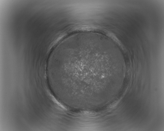 X0000067000585200604142301