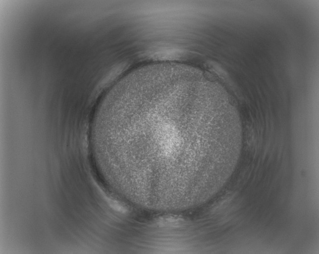 X0000067000586200604142301