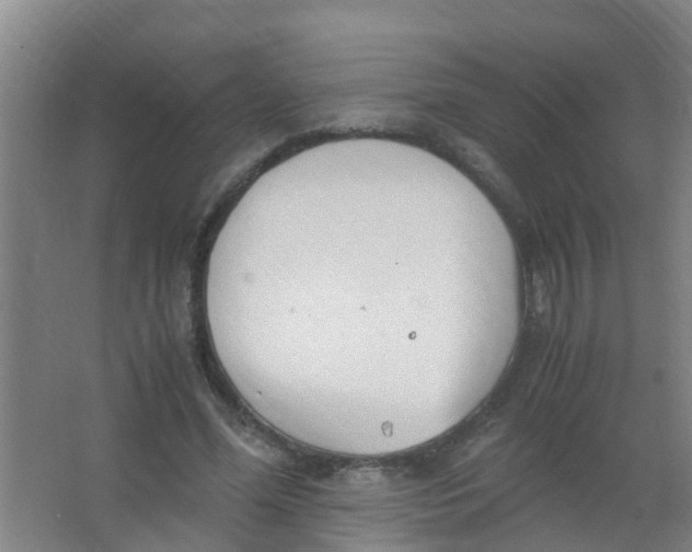 X0000067000588200604142301